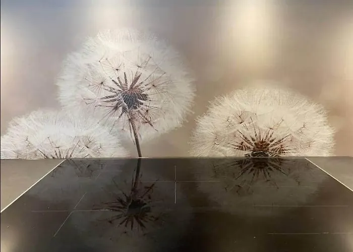 Halten Sankt Stephan