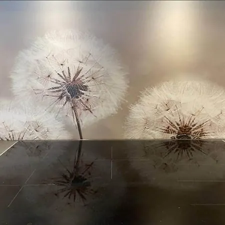 Halten Sankt Stephan